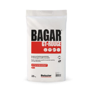 BEISSIER Bagar GT